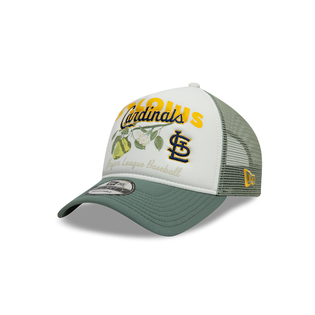 St. Louis Cardinals MLB Fruit Graphic 9FORTY A-Frame Snapback