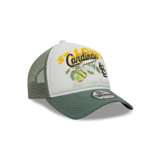 St. Louis Cardinals MLB Fruit Graphic 9FORTY A-Frame Snapback