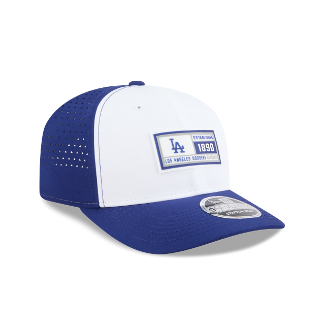 Los Angeles Dodgers MLB NE Leisure 9SEVENTY Trucker Snapback