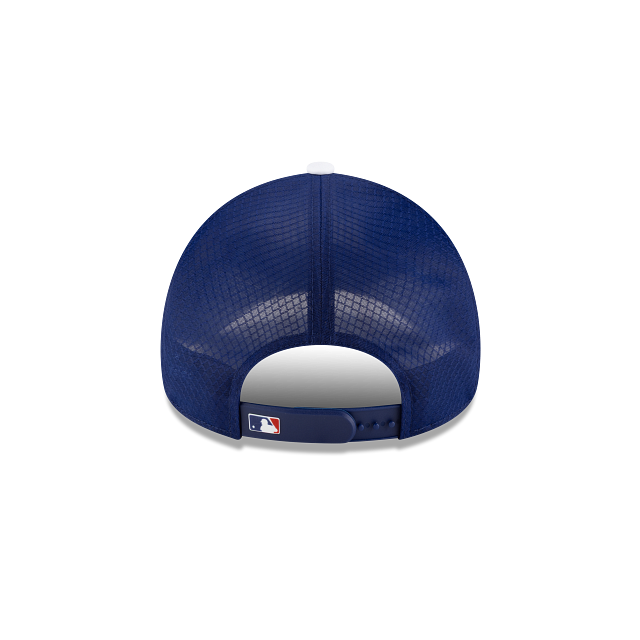Los Angeles Dodgers MLB Batting Practice 2026 9FORTY APEX Snapback