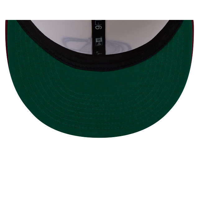 Colorado Avalanche NHL Localized 9FIFTY Snapback