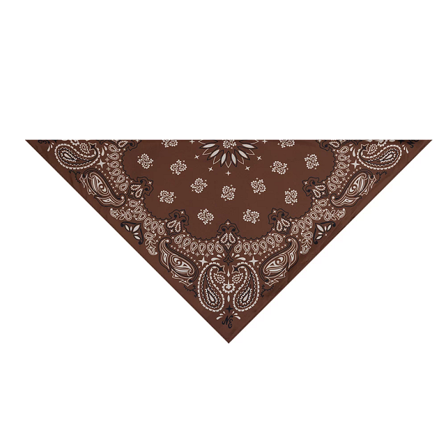Bandana New Era Paisley Café